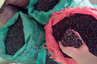 The 3rd crop fails, coffee output is likely to decrease by 20% 