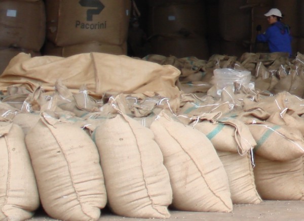 Coffee exports increase both volume and value 